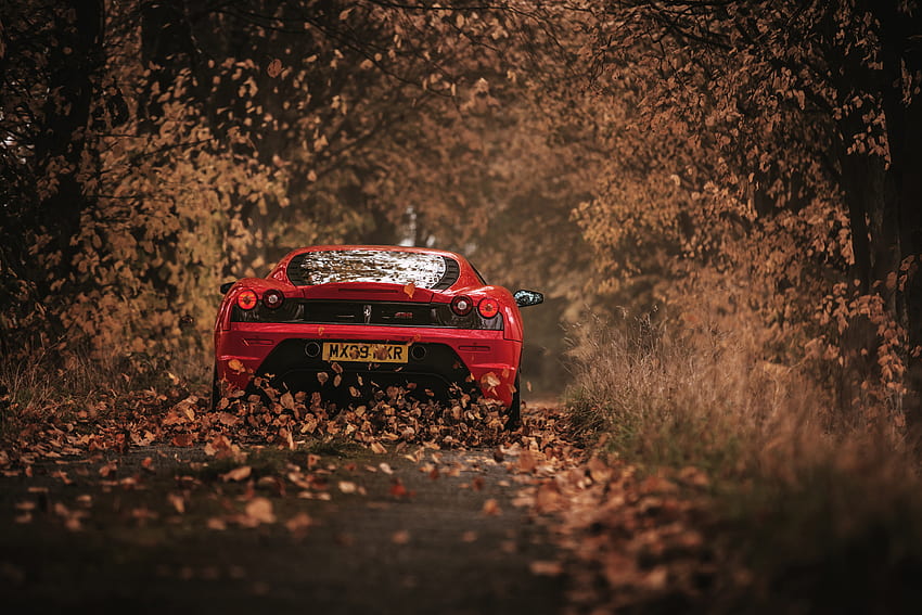 Ferrari, Autumn, Cars, Back View, Rear View, Racing, Scuderia HD wallpaper
