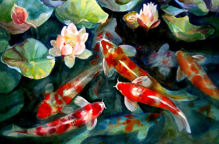 estanque de peces de agua koi ilustraciones flor de loto - Flores de la naturaleza, arte de la flor de loto fondo de pantalla