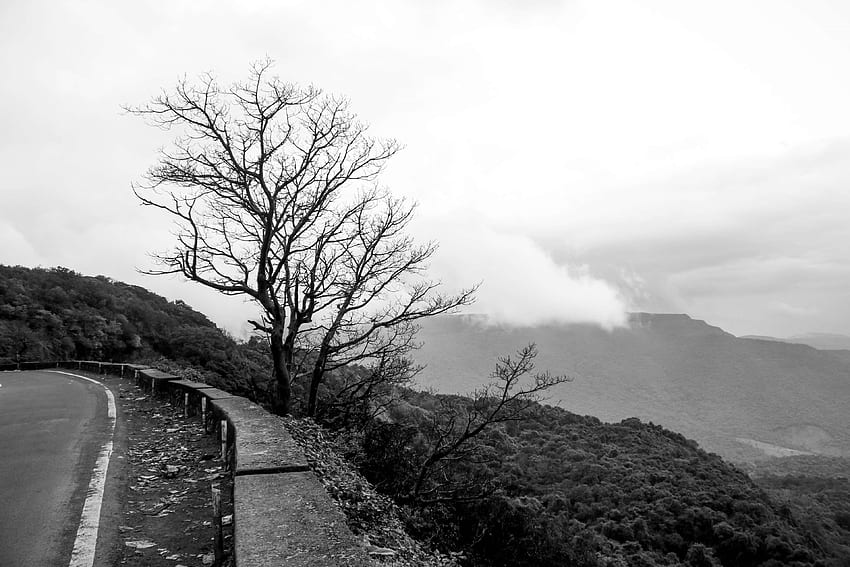 black and white, dark, mothernature, nature, nature , tree, Dark Hills HD wallpaper