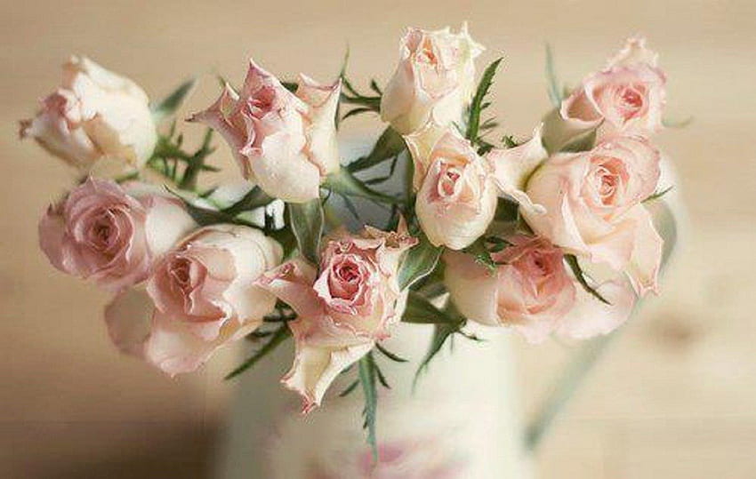 schön, rosa Rosen, Stillleben, schön, Blumen HD-Hintergrundbild