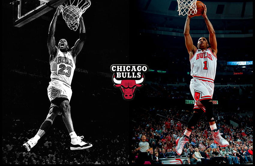 Michael Jordan and Derrick Rose : chicagobulls HD wallpaper