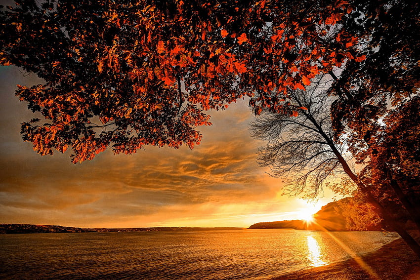 Matahari Terbenam Di Sungai, sungai, bukit, awan, jam emas, indah, matahari terbenam, pohon maple Wallpaper HD