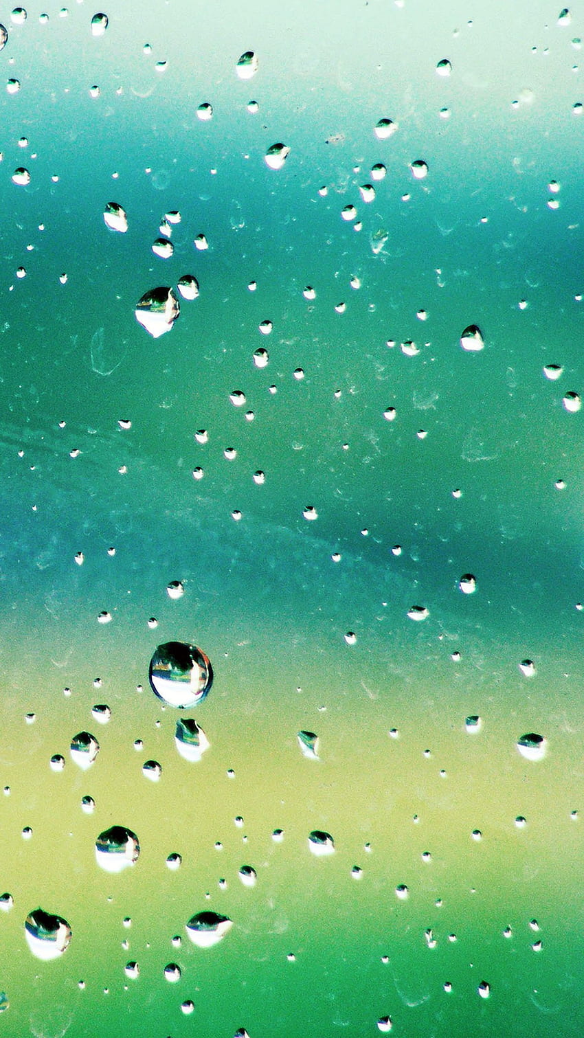 Rainy Day Green Water Nature Spring Window HD phone wallpaper