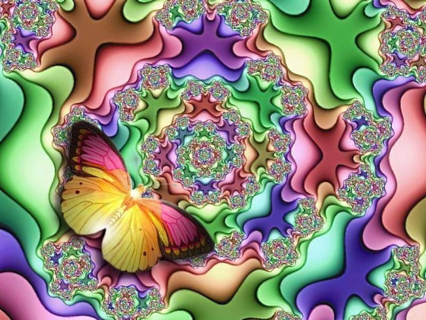Kupu-kupu Berputar, memutar fraktal, kupu-kupu Wallpaper HD