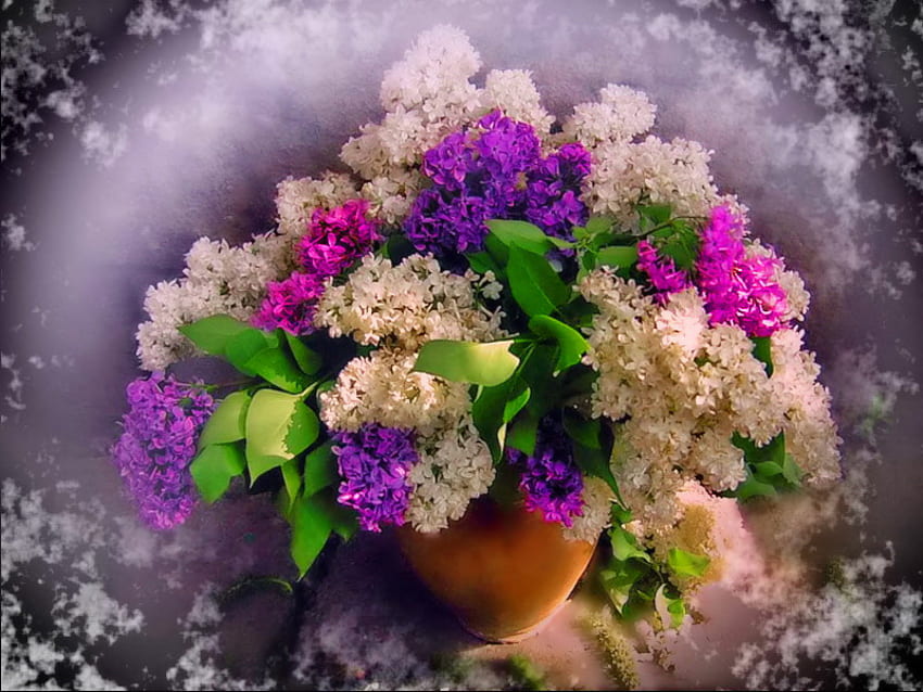 Lukisan alam benda, warna-warni, vas, indah, bagus, halus, cantik, bunga, indah, harmoni, ungu Wallpaper HD