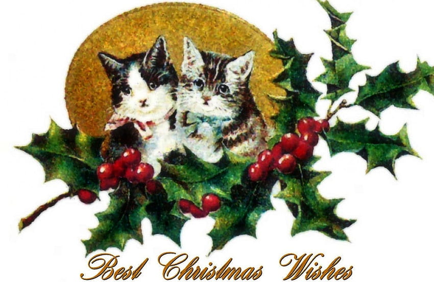 Best Christmas Wishes, musim dingin, kucing, anak kucing, kesempatan, liburan, pemandangan, lukisan, salju, hewan peliharaan, Desember, seni, kucing, cantik, ilustrasi, karya seni, layar lebar, Natal Wallpaper HD