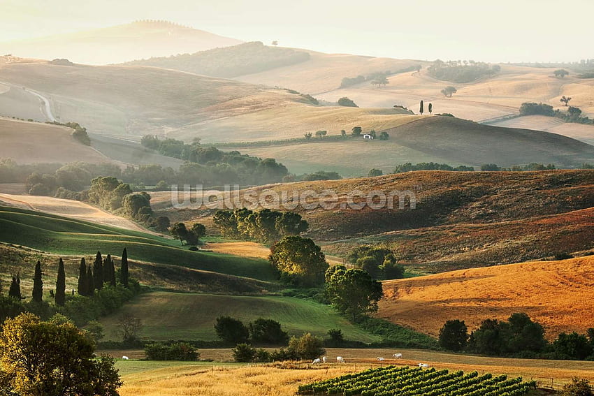 Beautiful Italian Countryside Tuscany Wall Mural [] for your , Mobile & Tablet. Explore Italian Countryside . Italian Scenery , English Countryside , Vietnam Countryside Scenery, Italy Countryside HD wallpaper