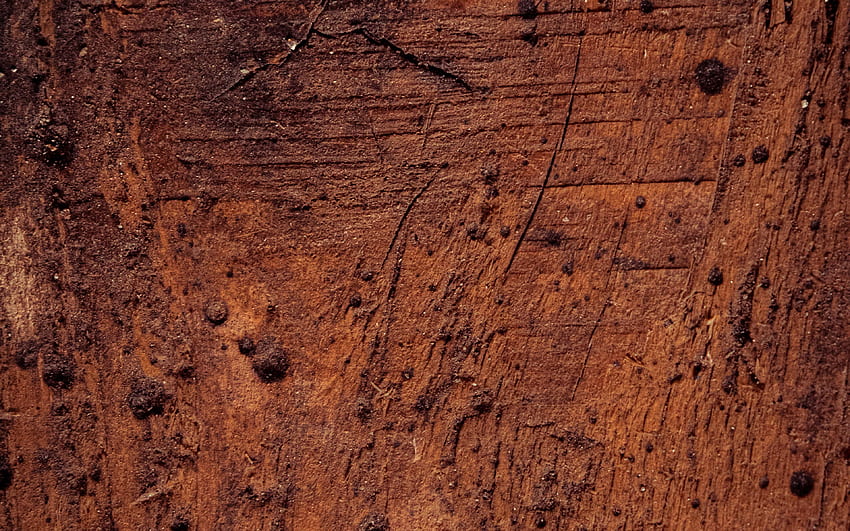茶色の土のテクスチャ, , 地面のテクスチャ x, 茶色の地面の背景, 3D テクスチャ, 茶色の地面のテクスチャ, 土のテクスチャ, 自然な風合い 高画質の壁紙