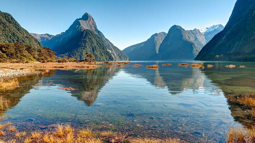 Milford Sound New Zealand HD wallpaper | Pxfuel