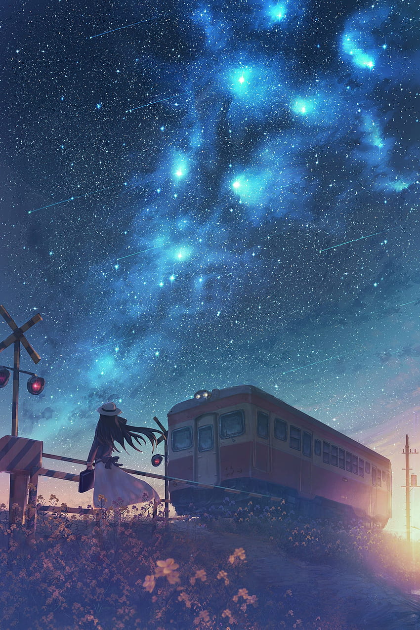Anime Aesthetic Night Sky - Novocom.top, Anime Starry Sky Fond d'écran de téléphone HD