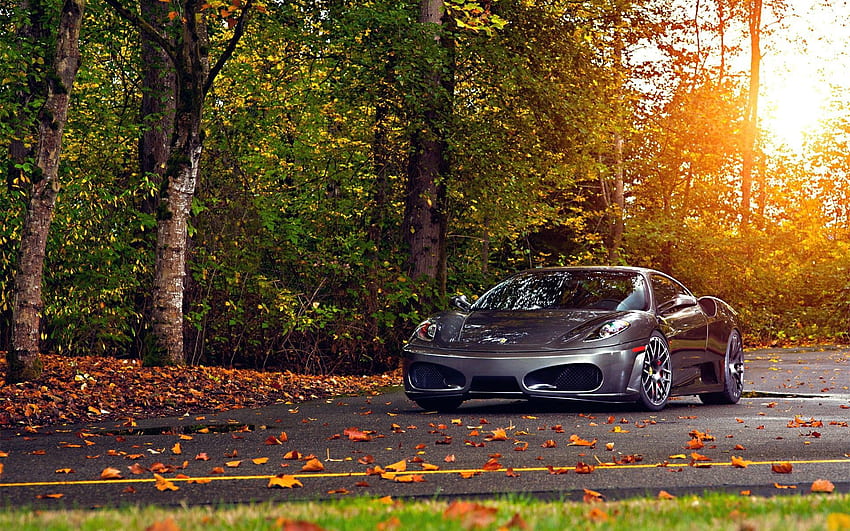 Auto, jesień, Ferrari, samochody, park, Scuderia, 430 Tapeta HD