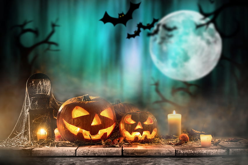 Joyeux Halloween!, nuit, chauve-souris, orange, halloween, lune, fantaisie, vert, citrouille, luna, carte Fond d'écran HD
