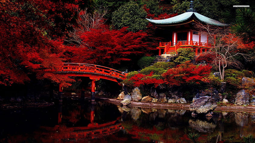 jardim japonês, templo, lago, jardim, lagoa, Japão, outono, 2560X1440 Japonês papel de parede HD
