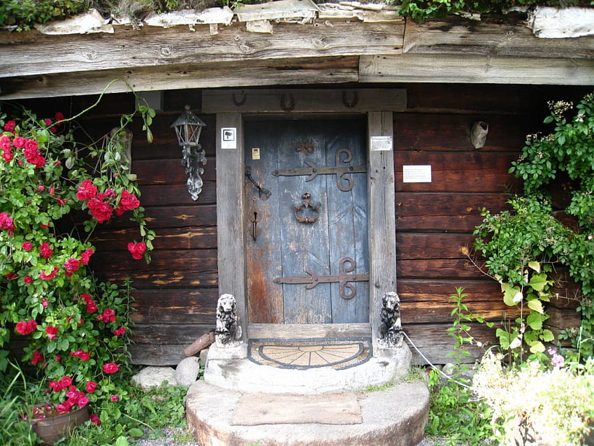Puerta vieja, vieja, puerta, rosas, casa fondo de pantalla