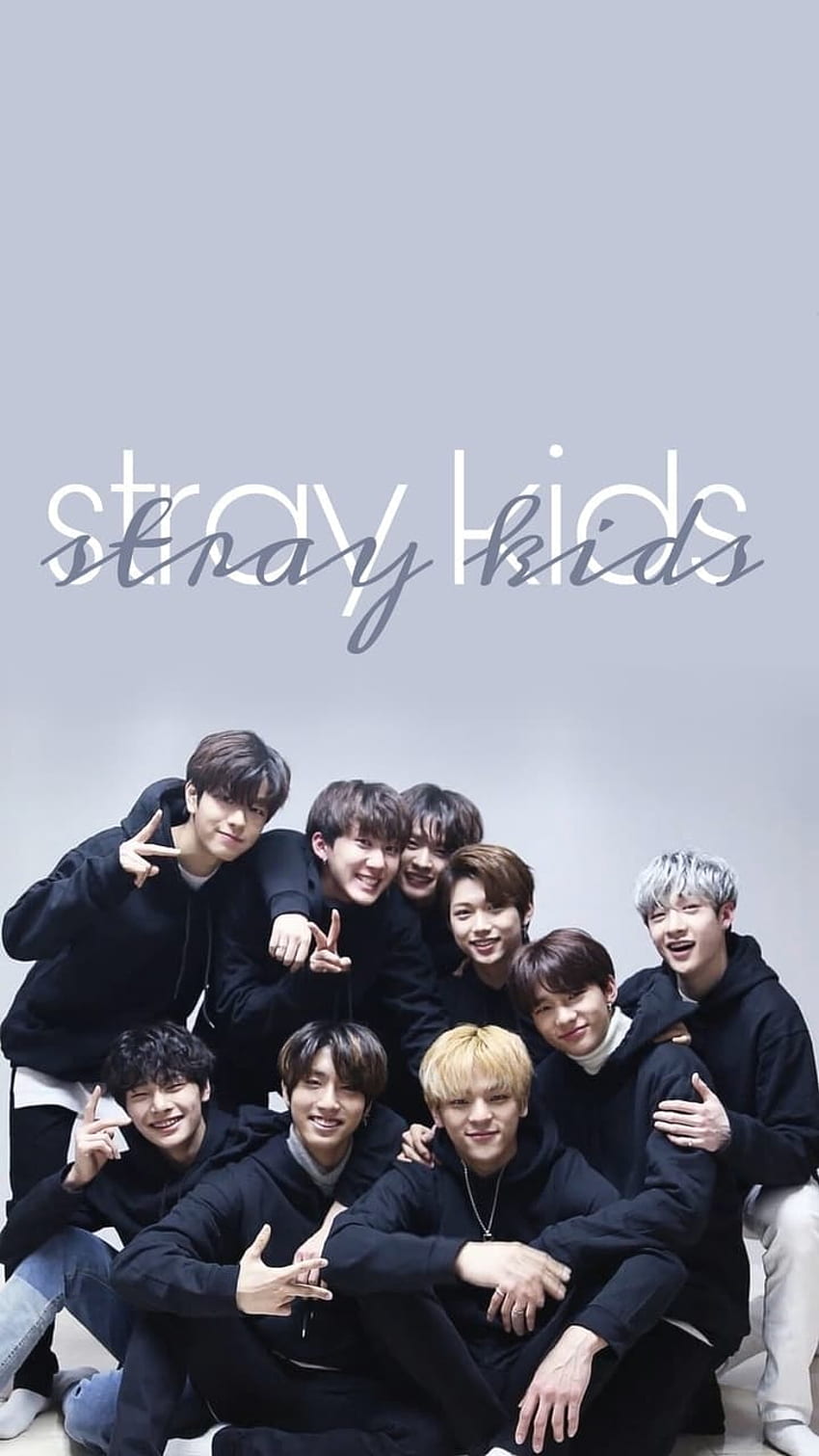 A Beginner's Guide To Stray Kids, Stray Kids iPad HD phone wallpaper