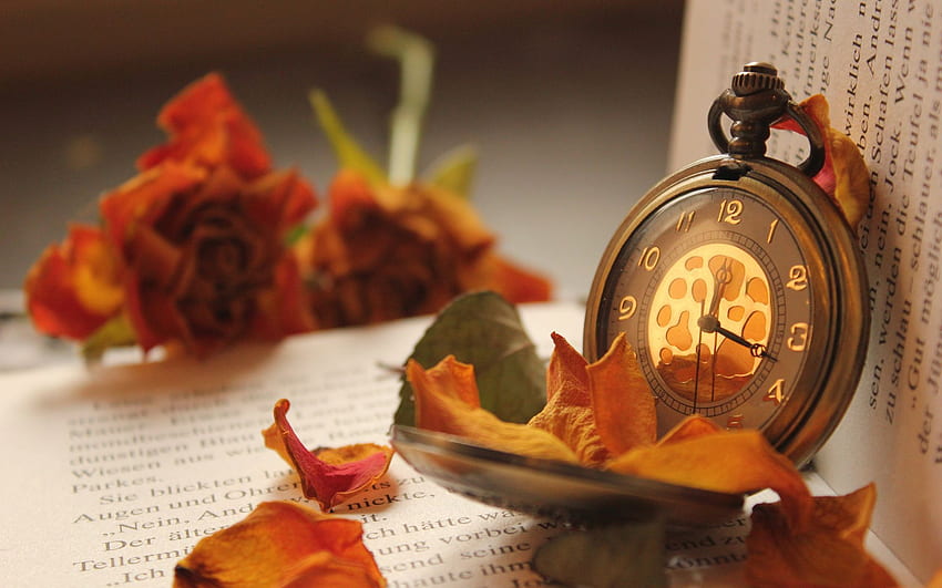 Jesienny czas. Zegar, telefon kwiatowy, zegarek kieszonkowy, jesienne książki Tapeta HD