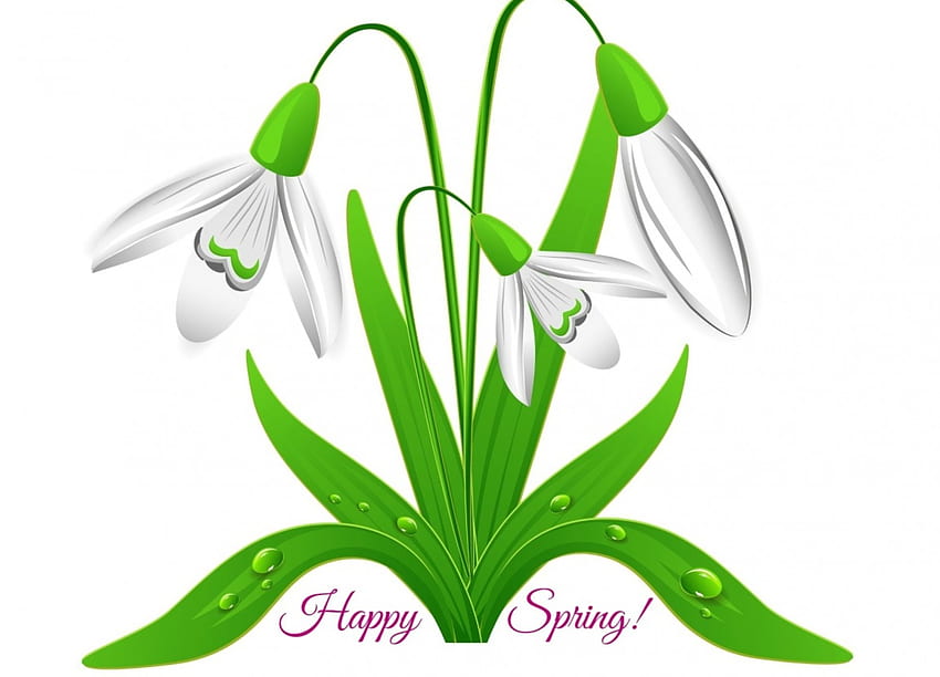 Joyeux printemps!, perce-neige, blanc, par cehenot, fleur, vert, carte, printemps Fond d'écran HD