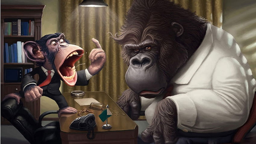 gorillas, Gorilla Cartoon HD wallpaper