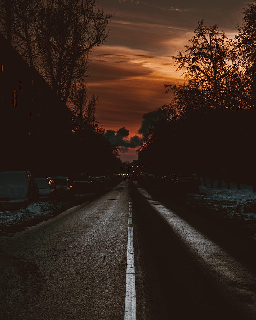 Twilight, Cars, Building, Dark, Road, Dusk HD phone wallpaper | Pxfuel