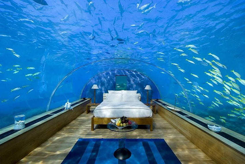 Under the sea, bed, sea life, accomodation, hilton, apartment, five metres below sea level, rangali island, glass, view, underwater, under, water, residents, ocean HD wallpaper