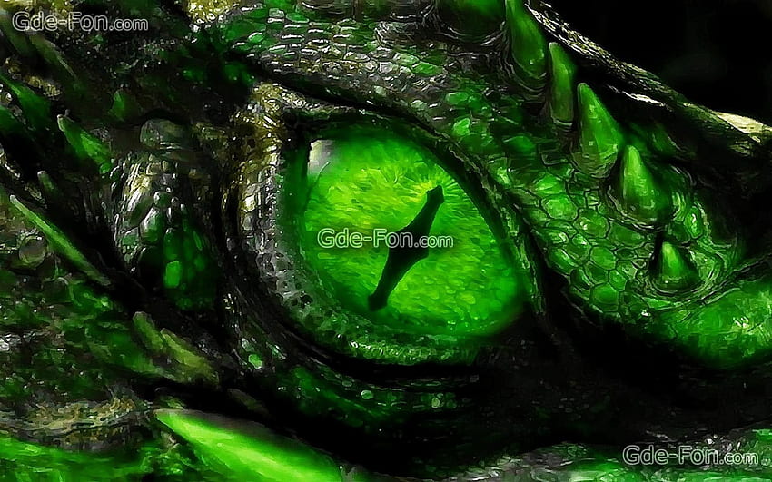 (1920×1200). dragons. Dragon eye, Dragons, Green Dragon Eye HD wallpaper
