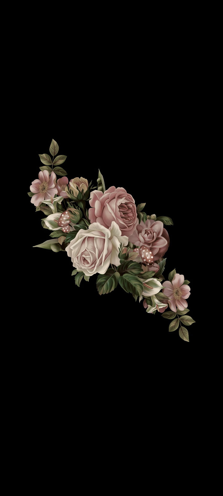 Mawar Gelap, estetis, rosas, sedih wallpaper ponsel HD
