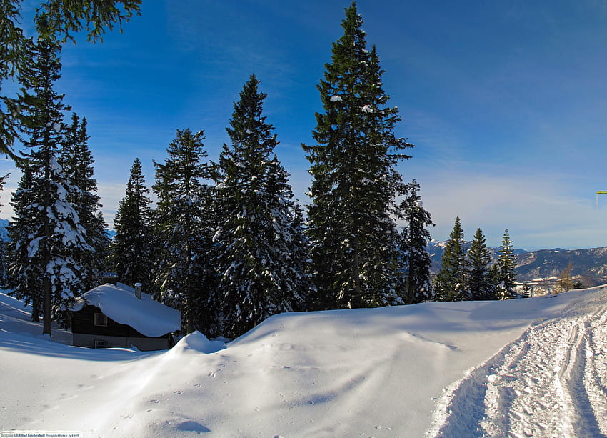 Winter, Natur, Bäume, Schnee, Häuschen, Hütte, Stille, Spuren, Fährte, Gegessen, Deckung HD-Hintergrundbild