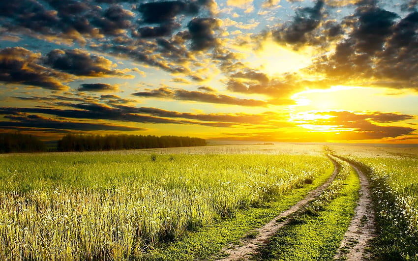 landscape, Nature, Sunset, Path, Clouds, Grass, Dirt Road / and Mobile Background, Gravel Road HD wallpaper