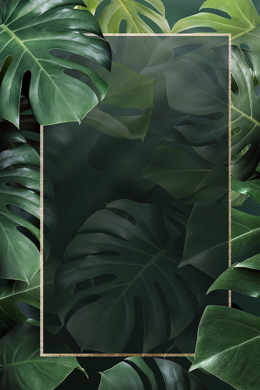 금속 녹색 Monstera 잎 배경입니다. 벡터, PNG, 모형 및 배경, Monstera iPhone HD 전화 배경 화면