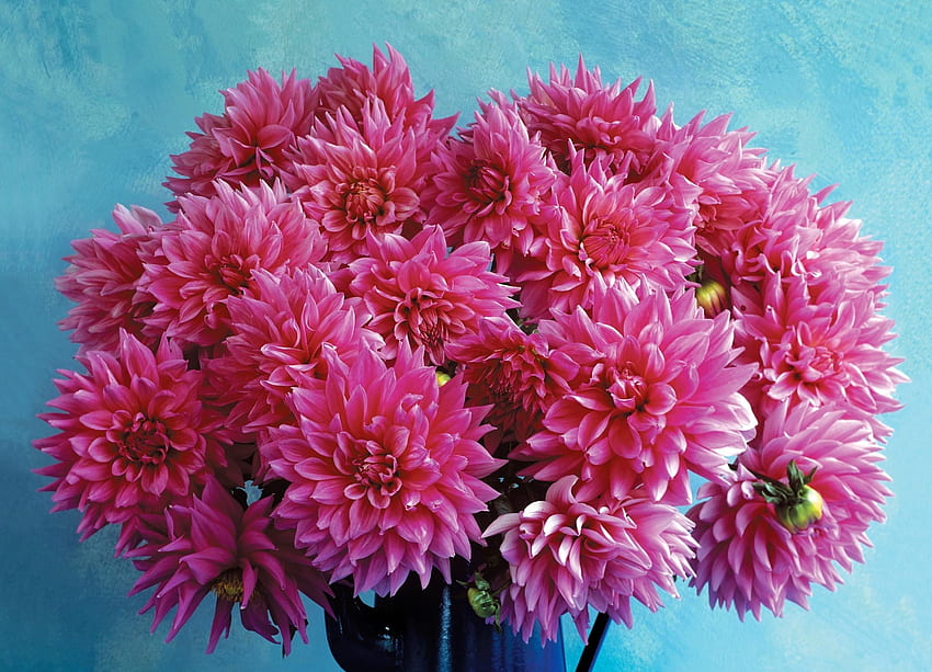 Flowers, Background, Bouquet, Jug, Dahlias HD wallpaper
