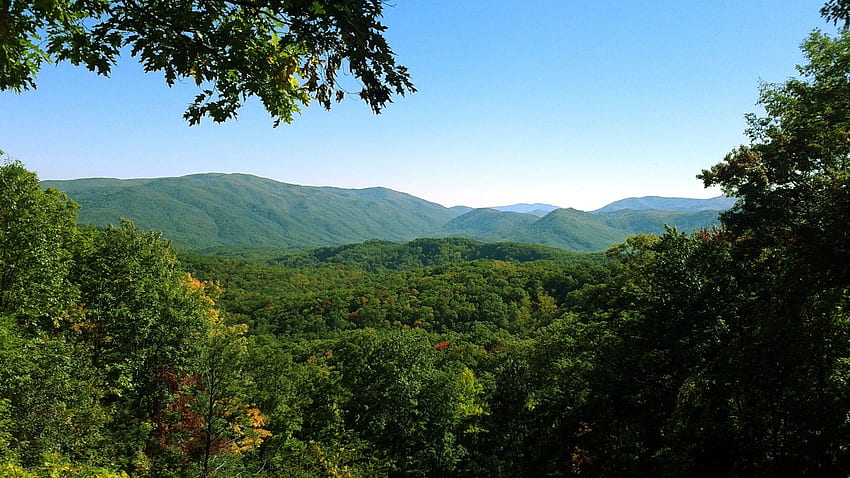 Tennessee, Smoky Mountains, Forêt, Montagne, Paysage / et fond mobile Fond d'écran HD
