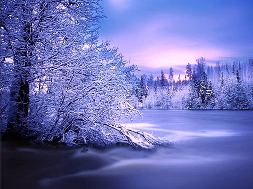 Puro como a neve, inverno, geada, céu rosa e azul, neve intocada, árvores, beleza papel de parede HD