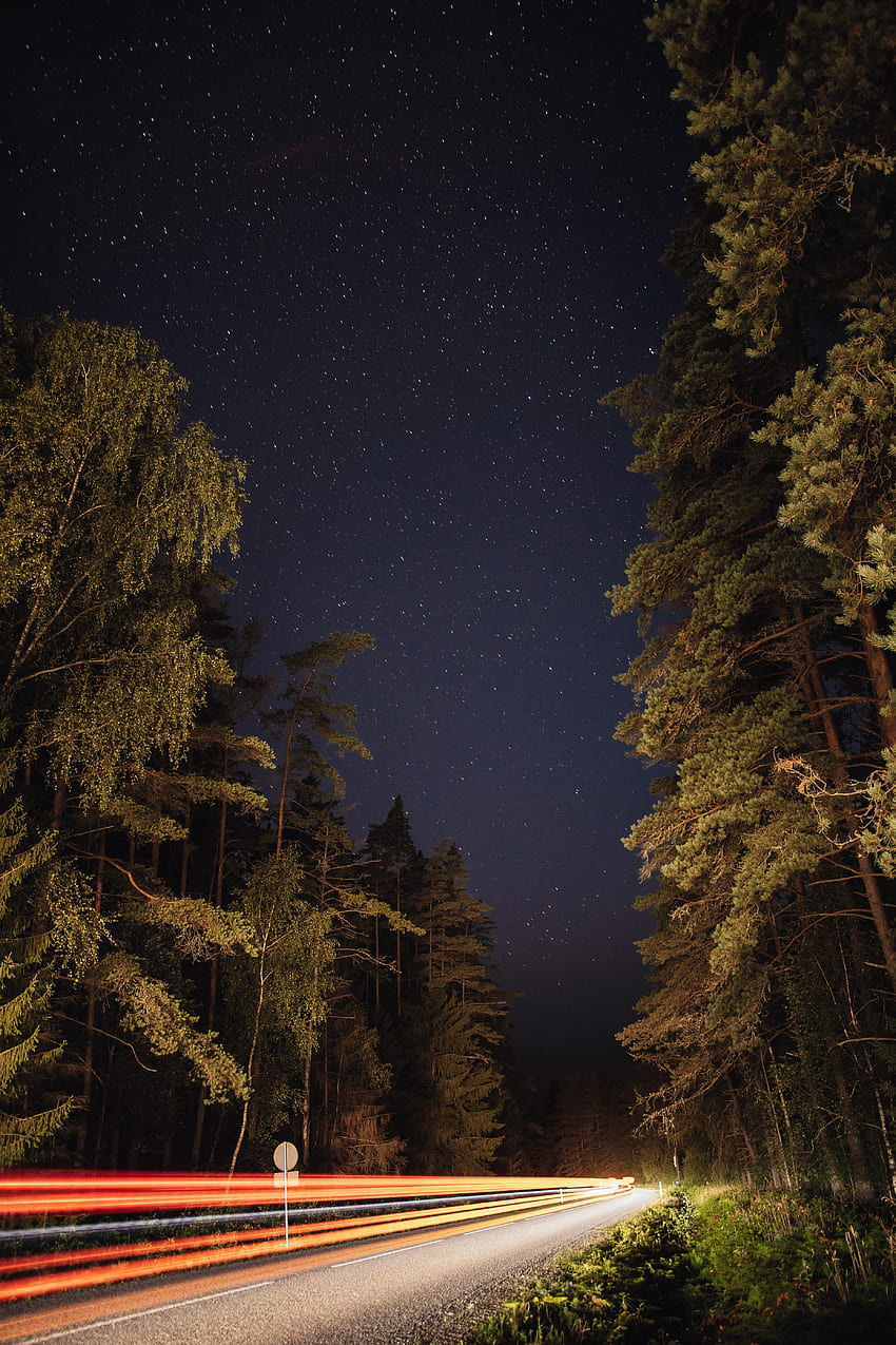 Nature, Trees, Stars, Night, Road, Lines, Glow HD phone wallpaper