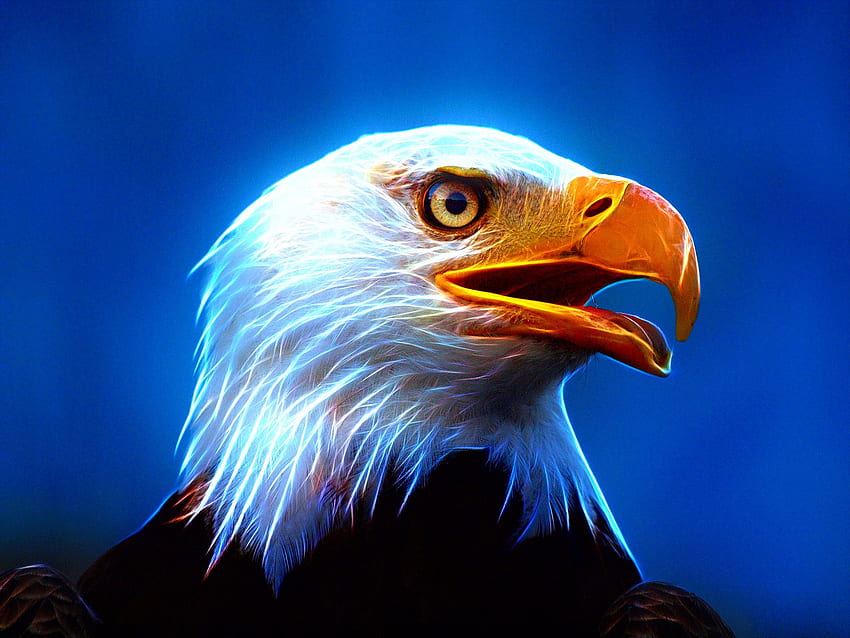 1920×1440, Neon Eagle HD wallpaper