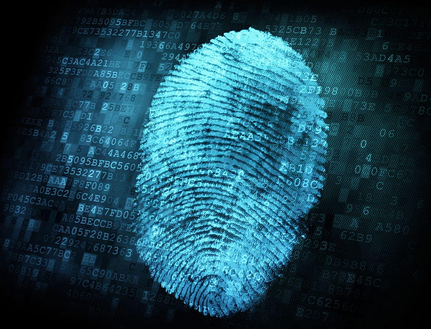 Forensics, Forensic Science HD wallpaper
