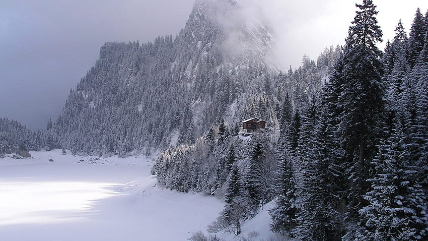Unglaubliche Hütte Winterwald Winter. t, Norwegen Winter HD-Hintergrundbild