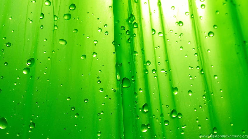 Najlepszy kolor zielony – tło grupy doradców ds. zdrowia Tapeta HD