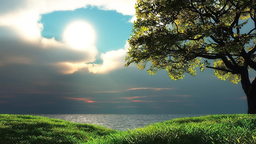 Sun, Tree, Cloudy, Gleam, Coast JPG. Cool, Gleam HD wallpaper
