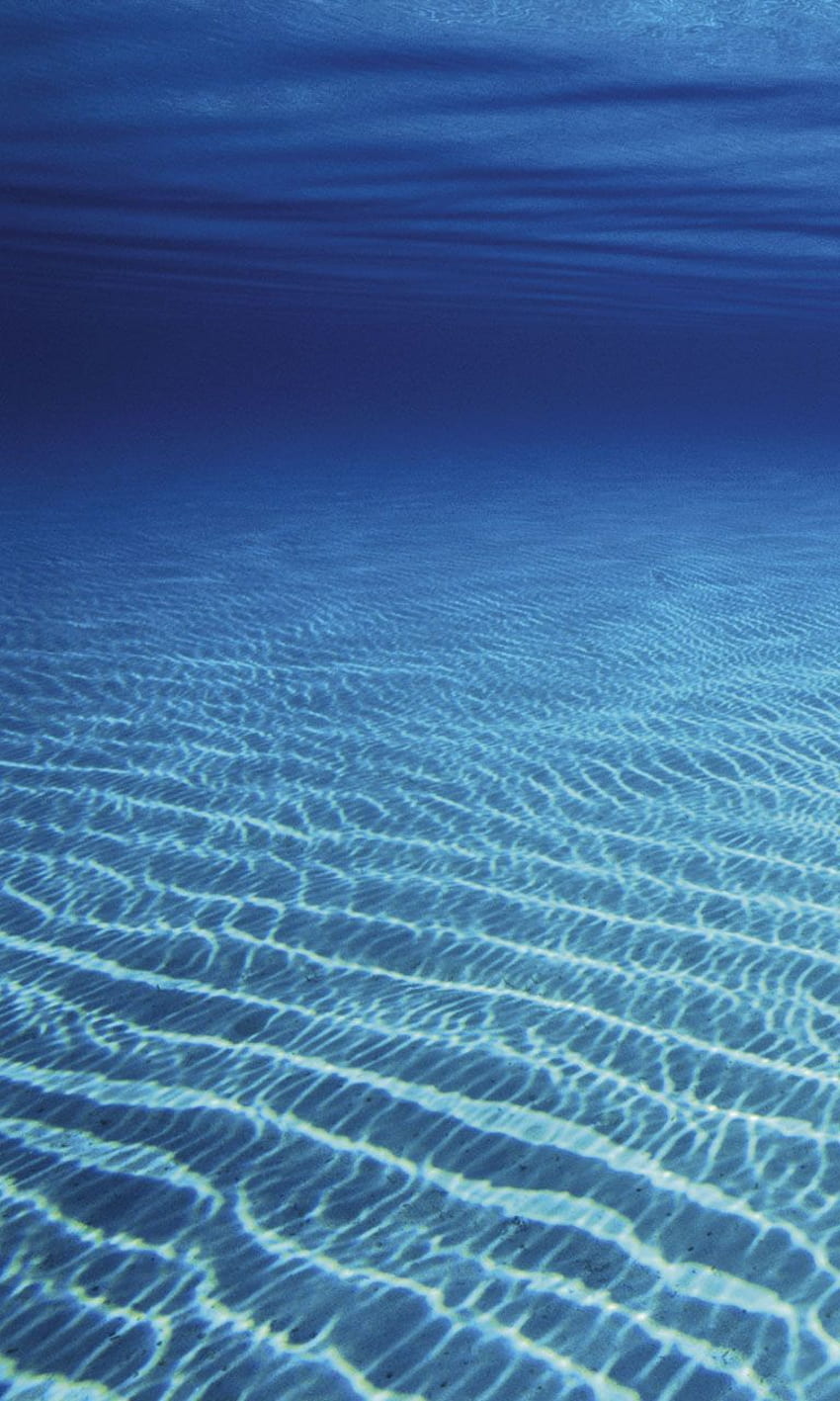 Ocean Floor [] dla Twojego iPhone'a Ocean Floor Tapeta na telefon HD