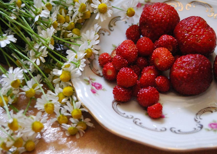 Good Morning, still life, table, plate, strawberries, chamomile, flowers HD wallpaper
