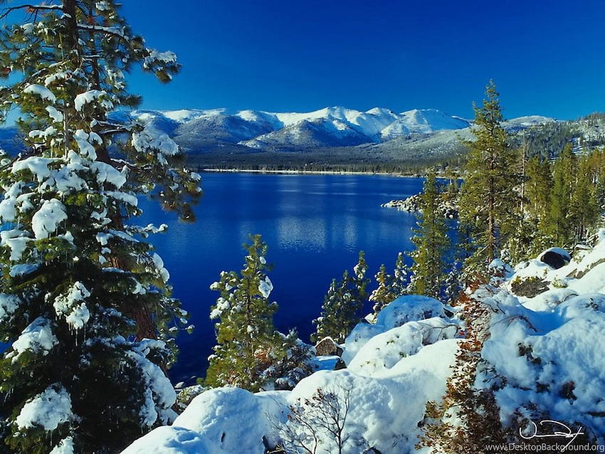 Thưởng thức hình nền mùa đông của hồ Lake Tahoe để cảm nhận sự lãng mạn và đẹp tuyệt vời khi tuyết phủ đầy trên khung cảnh đầy màu sắc của hồ nước và cây cối. Hình ảnh này sẽ giúp bạn đắm mình vào không khí mùa đông ngọt ngào của khu vực này.