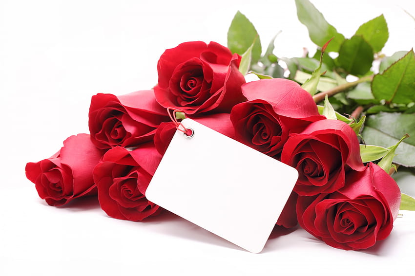 For You, rose, roses, with love, red roses, flowers, valentines day HD wallpaper