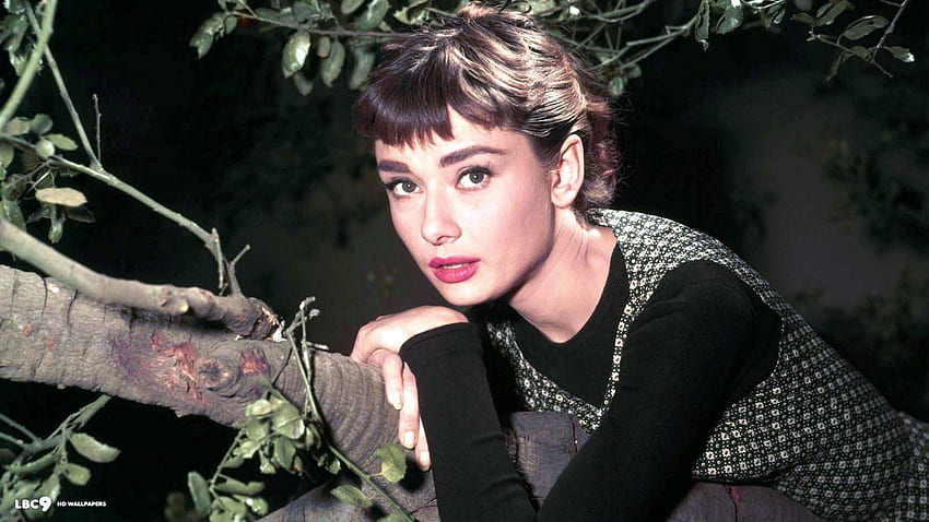 Audrey Hepburn HD wallpaper