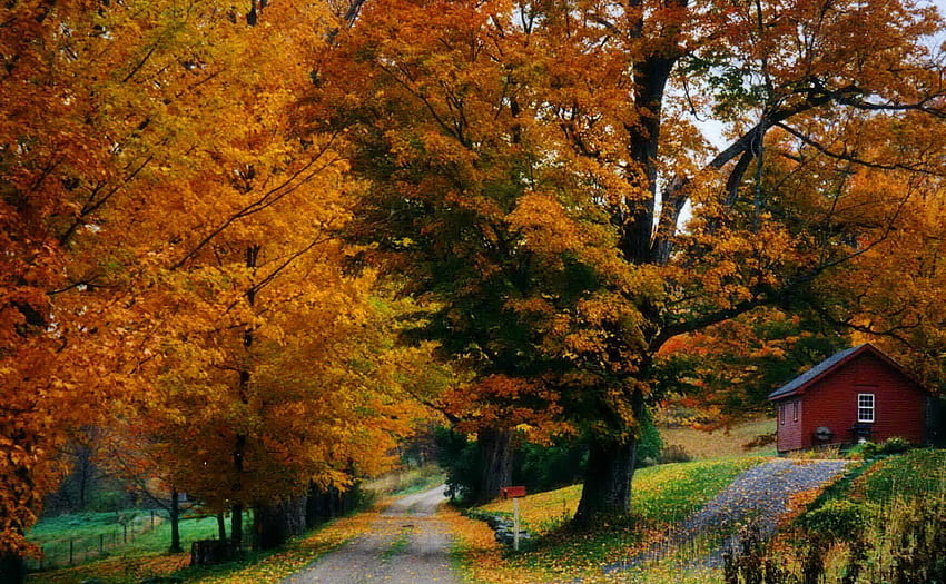Lain-lain: Road Nature Leaves Cottage Fall Cabin Beautiful Autumn House Wallpaper HD