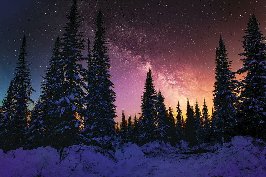 Winter, beautiful night, forest, galaxy, nature HD wallpaper