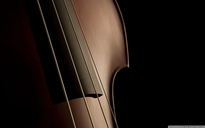 Double Bass Strings Ultra Background for U TV : Tablet : Smartphone HD wallpaper