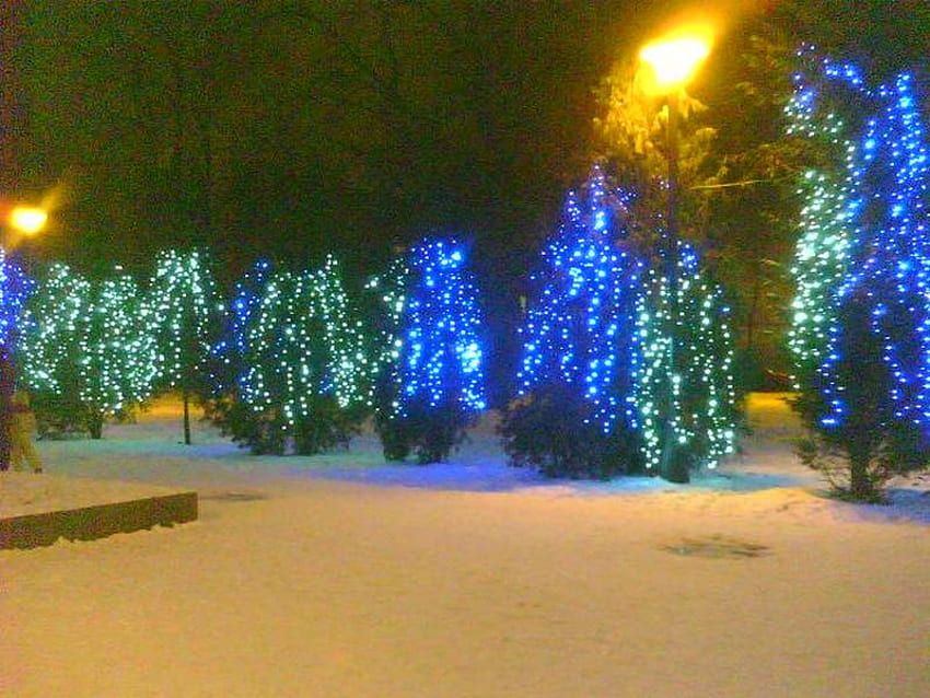 glücklicher winter, winter, natur, weihnachten, schnee HD-Hintergrundbild