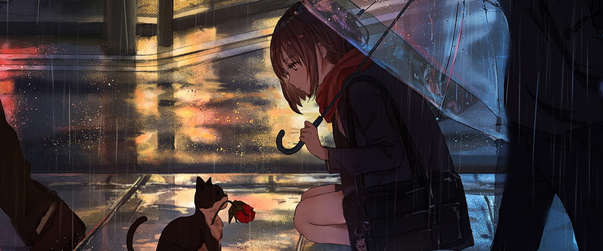 Anime Girl Raining Cat , Rain HD wallpaper
