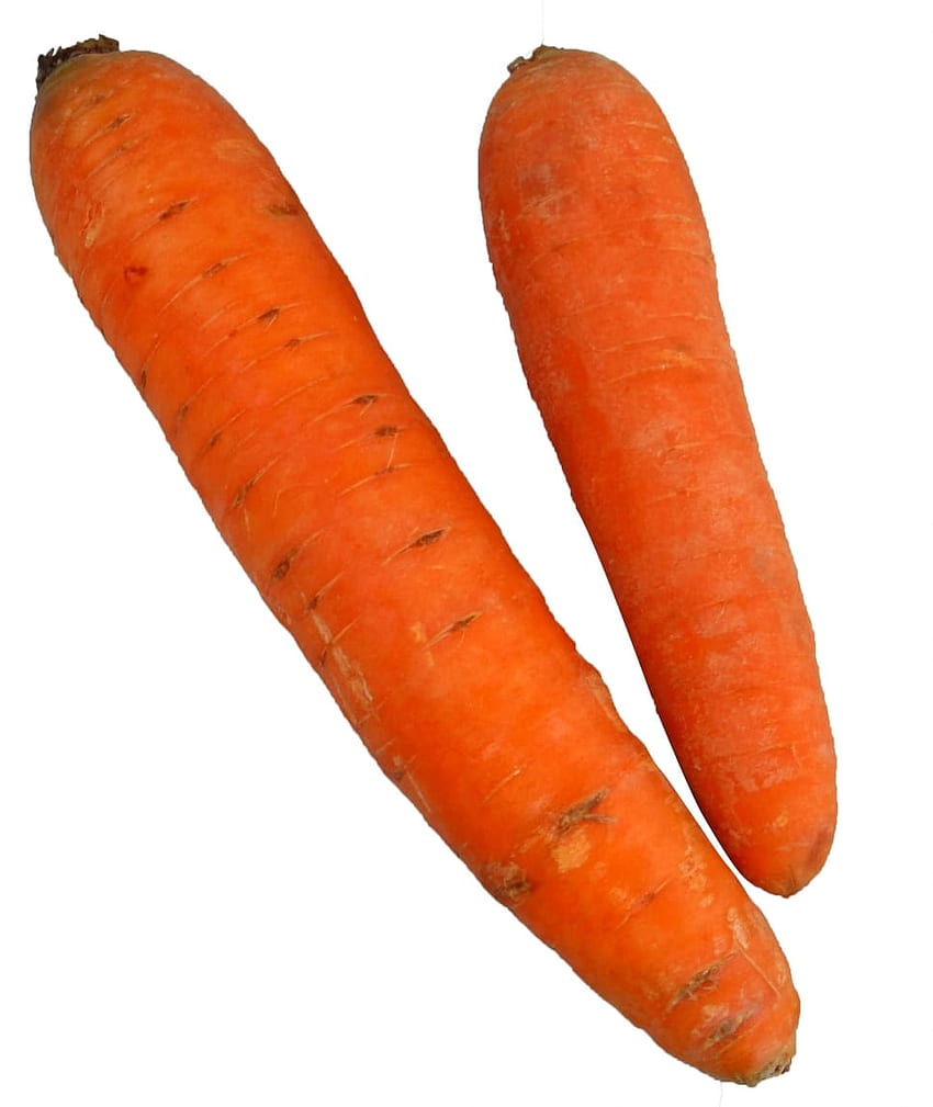 pieces carrots, Carrot Farm HD phone wallpaper