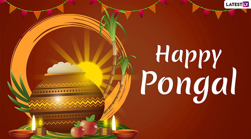 Happy Pongal 2020 소원: 이 타밀 나두 축제를 축하하기 위한 WhatsApp 스티커, Thai Pongal GIF, Facebook 인사말, 인용문, SMS 및 메시지 HD 월페이퍼